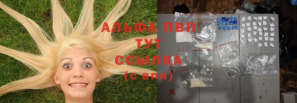 прущие грибы Армянск