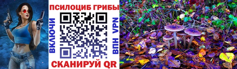 Псилоцибиновые грибы Psilocybine cubensis  Петухово 